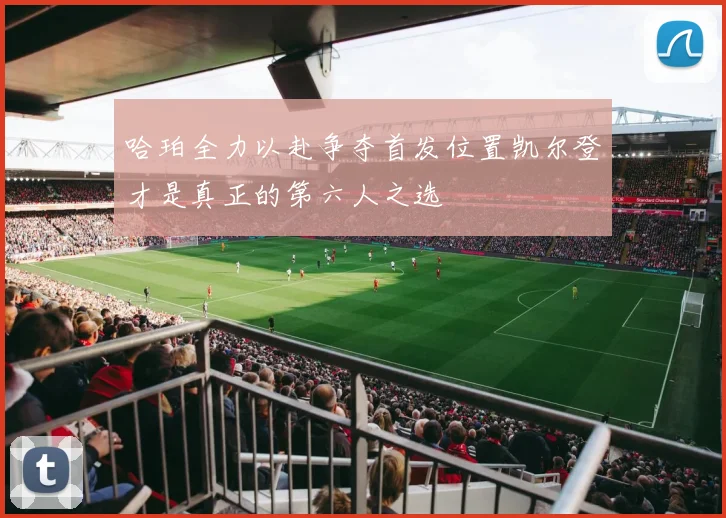 哈珀全力以赴争夺首发位置凯尔登才是真正的第六人之选