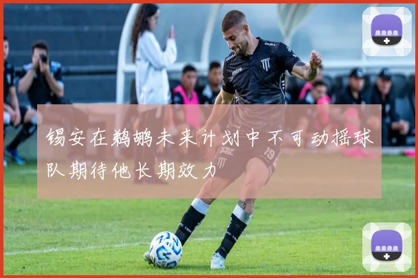 锡安在鹈鹕未来计划中不可动摇球队期待他长期效力